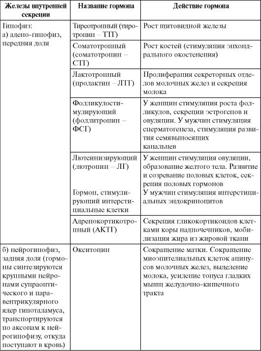 Типы желез и особенности
