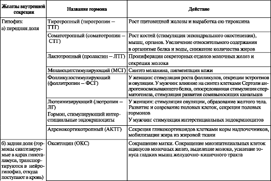 Картинки ТАБЛИЦА ПО БИОЛОГИИ ФУНКЦИИ КОЖИ