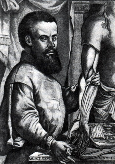 Андрей Везалий (1514-1564)