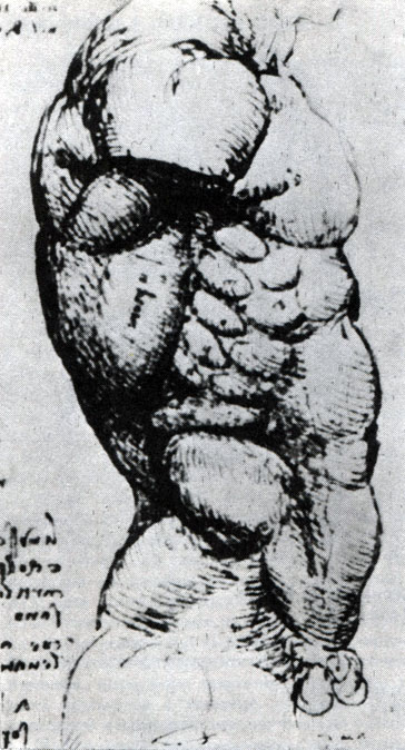4. Анатомический рисунок Леонардо да Винчи