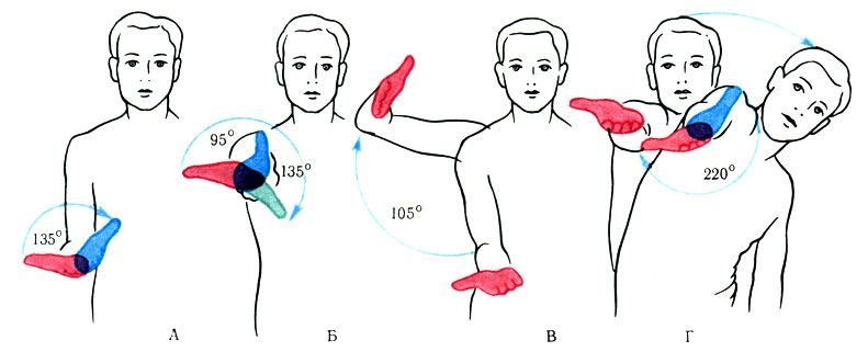 129. Размах движений кисти, возможных в период пронации, супинации (А, Б) и вращения по продольной оси в плечевом суставе (В, Г) (по Lanz-Wachsmuth)