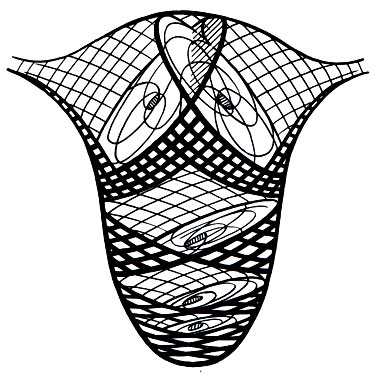 332. Схема взаиморасположения в матке мышечных волокон. Толстыми линиями обозначены волокна передней части стенки матки, которые перекрещиваются и показывают спиральный ход их в плоскости разрезов (по Benninghoff)