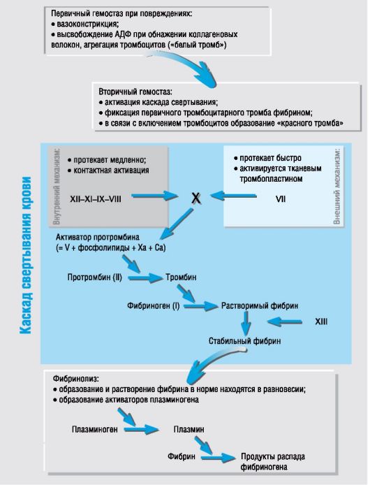 💊 Медицинские наркотики. 🏥 - Клиника IsraClinic