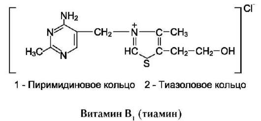 Контрольная работа по теме Витамины пиримидинового ряда (тиамин)