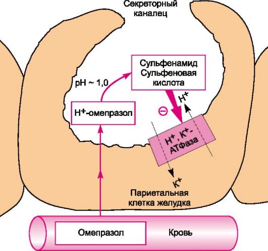 Как использовать пищевую соду против акне — SV CLINICA Клиника эстетической медицины