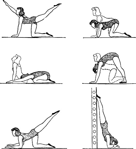 Примерный комплекс специальных упражнений при неправильном положении матки (загиб кзади)