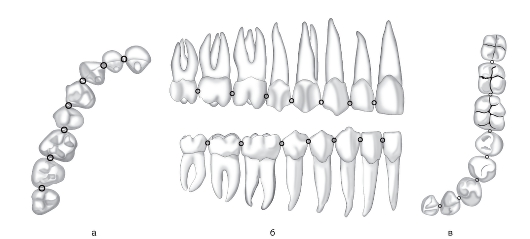 Основы клинической морфологии зубов: учебное пособие - читать онлайн